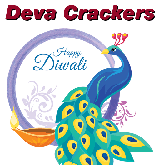 sivakasi best crackers shop
crackers price list
